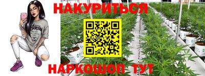 метадон Будённовск