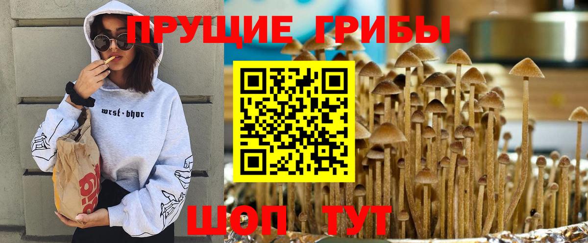 Галлюциногенные грибы Magic Shrooms Уфа